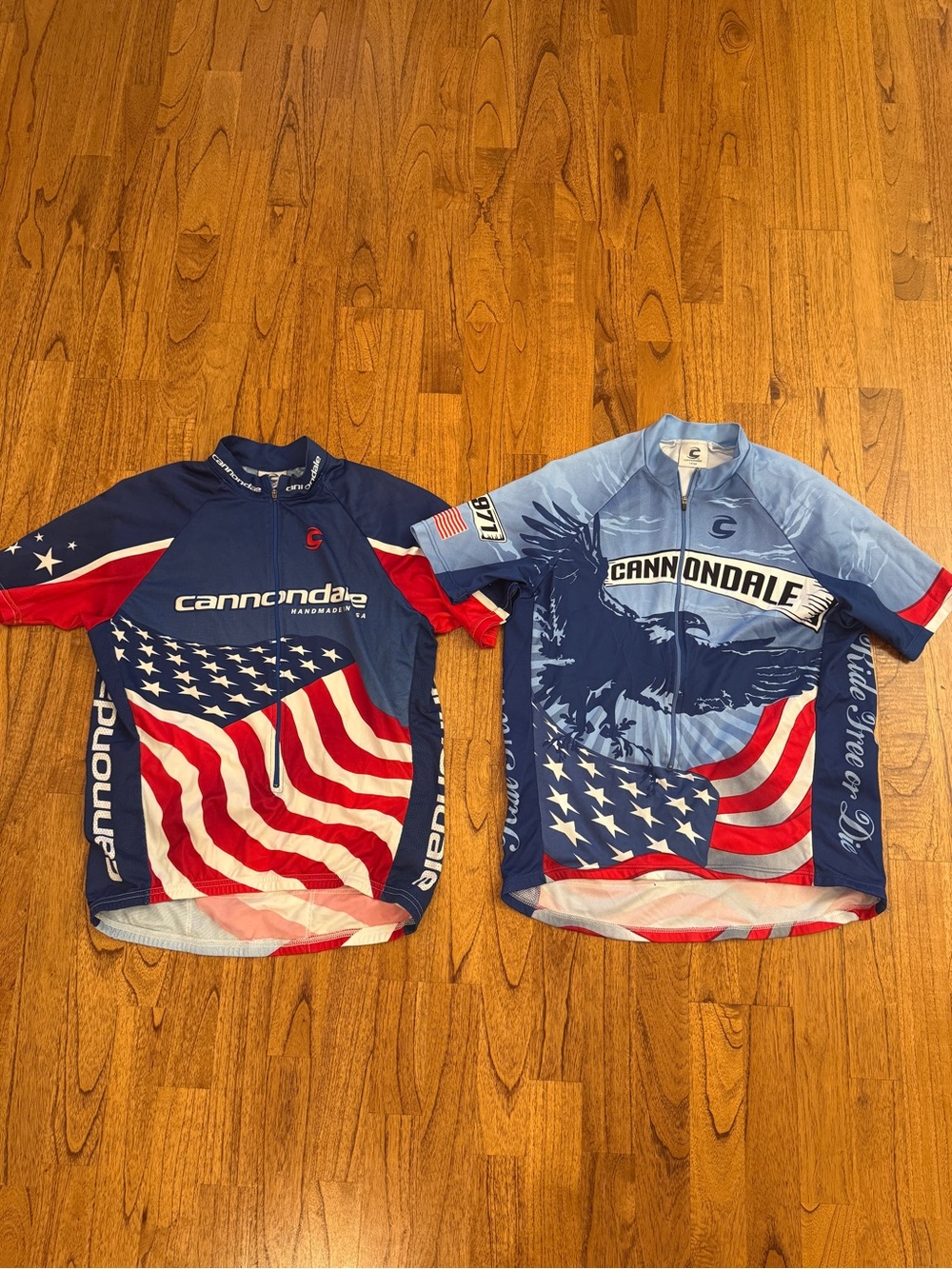Lot of 2 Cannondale Patriotic Cycling Jerseys Men's Large USA Flag Eagle